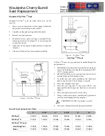 Beeco Tef Flow Quick Start Manual предпросмотр