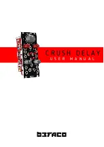 Befaco Crush Delay User Manual preview