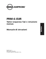 Предварительный просмотр 39 страницы Beha-Amprobe PRM-6-EUR User Manual