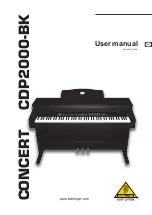 Behringer Concert CDP2000-BK User Manual предпросмотр