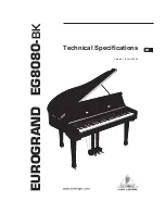 Behringer EUROGRAND EG8080-BK Technical Specifications предпросмотр