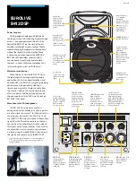 Preview for 4 page of Behringer Eurolive B412DSP Brochure & Specs