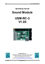 BEIER-Electronic USM-RC-3 Operating Manual предпросмотр