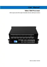 BeingHD VPX-500 User Manual preview