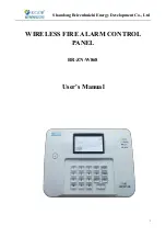 BEIRENHUIZHI BR-ZN-W868 User Manual предпросмотр