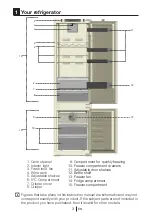 Preview for 5 page of Beko BCNA306E3SN Instructions Of Use