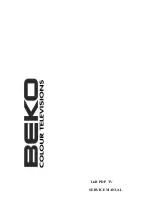 Beko L6B PDP TV Service Manual preview
