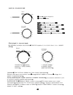 Предварительный просмотр 15 страницы Beko MWC 2000 MW Manual