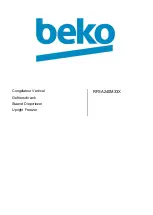 Beko RFSA240M33X Manual preview