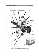 Preview for 5 page of BEL Engineering INV100-FL User Manual