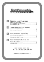 belardi 4B Series Use And Maintenance Instructions preview