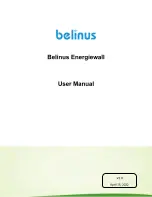 belinus Energiewall User Manual предпросмотр