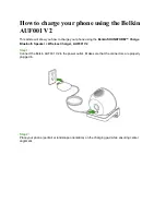 Belkin AUF001 V2 Manual preview