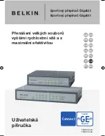 Preview for 229 page of Belkin F5D5141uk5 User Manual