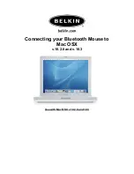 Belkin F8T041-B Connection Manual preview