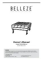 Belleze 014-HG-31910 Owner'S Manual preview