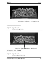 Предварительный просмотр 77 страницы Bellfires HORIZON BELL SMALLTUNNEL 3 Installation Instructions And Instructions For Use