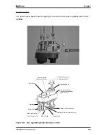 Preview for 79 page of Bellfires Tunnel 3 Instructions For Use & Manual Daily Maintenance