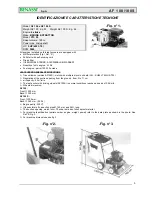 Предварительный просмотр 3 страницы Benassi AF 100 Operation And Maintenance Manual