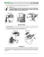 Preview for 6 page of Benassi AF 100 Operation And Maintenance Manual