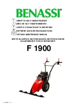 Benassi F 1900 Use And Maintenance Manual предпросмотр