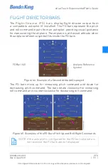 Предварительный просмотр 59 страницы BENDIXKing xVue Touch Experimental Pilot'S Manual