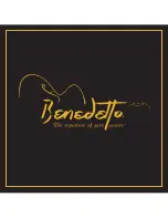 Benedetto The Signature of Jazz Guitar Owner'S Manual & Warranty preview