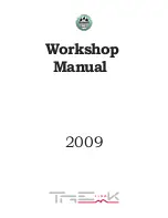 Предварительный просмотр 2 страницы Benelli 2009 TREK1130 Workshop Manual