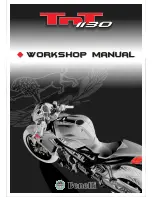 Benelli TnT1130 Workshop Manual preview