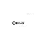 Benelli TNT300 User Manual preview