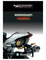 Benelli Tornado Tre Novicento 903 Workshop Manual preview