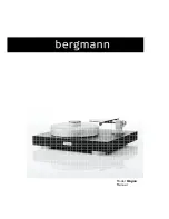 bergmann Magne Manual preview