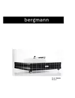 bergmann Sindre Manual preview