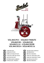 Berkel VOLANO B114 User Manual preview