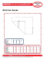 Preview for 41 page of Bernina activa 220 Owner'S Manual