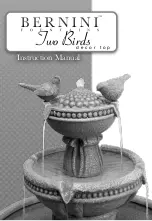 Bernini Two Birds decor top Instruction Manual предпросмотр