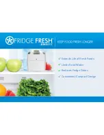 BerryBreeze Fridge Fresh User Manual предпросмотр