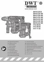 Berserker DWT BH10-26 B Original Instructios предпросмотр