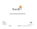 Bertello Bertello One User Manual preview