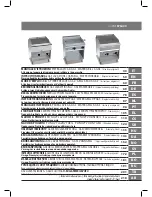 Preview for 1 page of Bertos G6PL60B Operating Instructions Manual