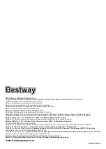 Preview for 28 page of Bestway 52487 Owner'S Manual