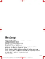 Preview for 20 page of Bestway 61068 Owner'S Manual