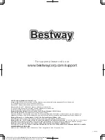 Предварительный просмотр 56 страницы Bestway 65065 Owner'S Manual