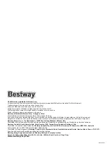 Preview for 20 page of Bestway 65077 Manual