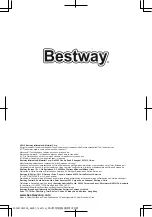 Предварительный просмотр 32 страницы Bestway 68091 Owner'S Manual