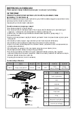 Предварительный просмотр 33 страницы Bestway 6942138974997 Owner'S Manual