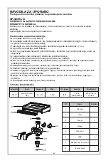 Предварительный просмотр 41 страницы Bestway 6942138974997 Owner'S Manual