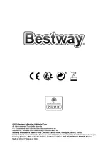 Предварительный просмотр 36 страницы Bestway AQUAROVER FLOWCLEAR User Manual