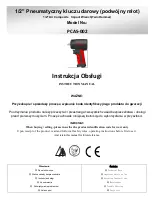 Beswell PCAS-002 Instruction Manual preview