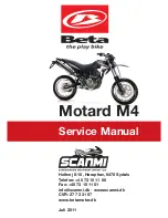 Beta ALP 4.0 Service Manual preview